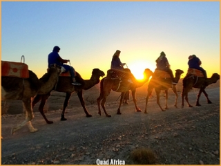 Combined Quad & Camel Ride Agafay