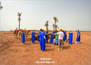 Quad Biking and Camel Ride Palm grove