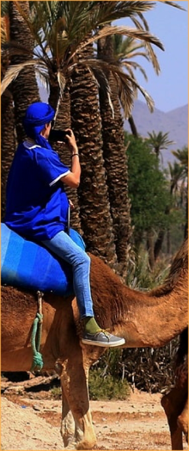 Camel ride Marrakech