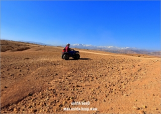 Quad biking and camel Ride Agafay