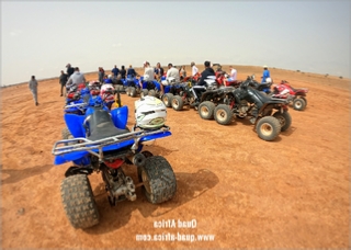 Half Day Quad Biking Palm grove