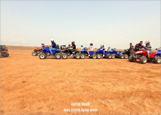 Quad Biking and Camel Ride Palm grove