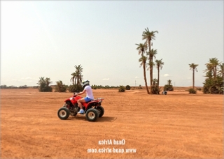 Half Day Quad Biking Palm grove