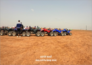 Half Day Quad Biking Palm grove