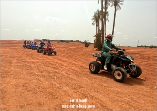 Quad Biking and Camel Ride Palm grove