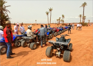 Quad Biking and Camel Ride Palm grove