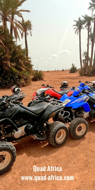 Half Day Quad Biking Palm grove