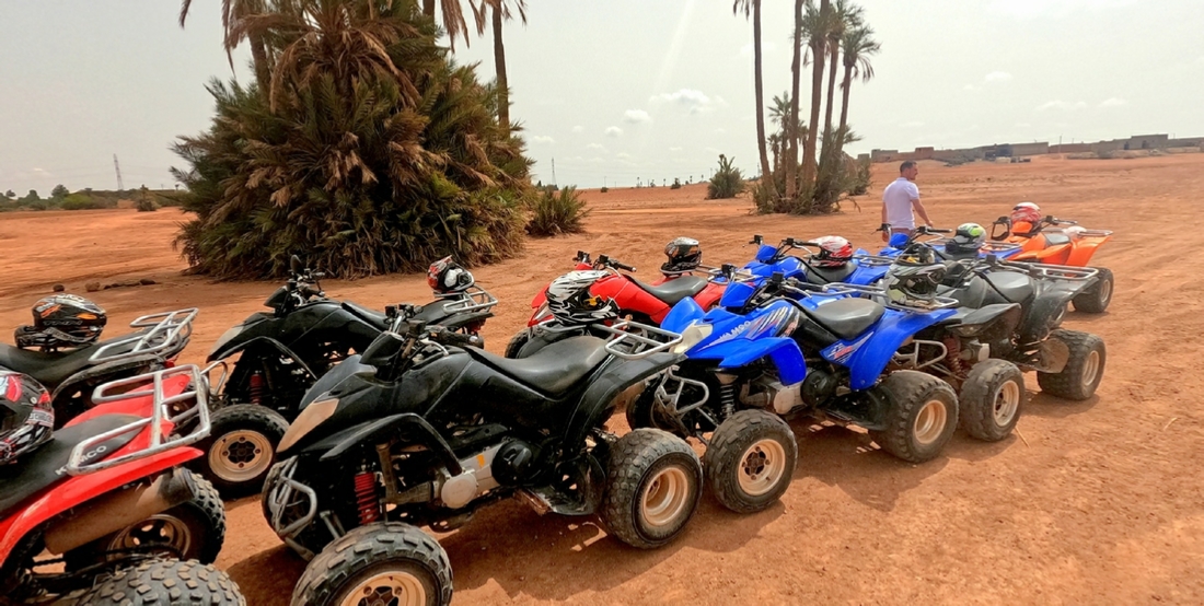 Half Day Quad Biking Palm grove