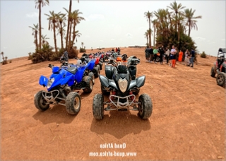 Half Day Quad Biking Palm grove