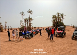 Half Day Quad Biking Palm grove